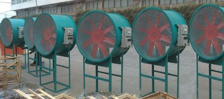 ����䓷����S���L�C�S��